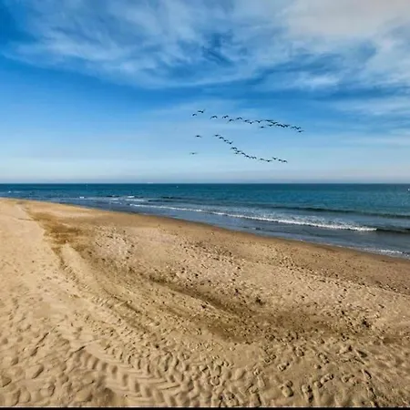 Golden Hour Beachfront Apartamento
